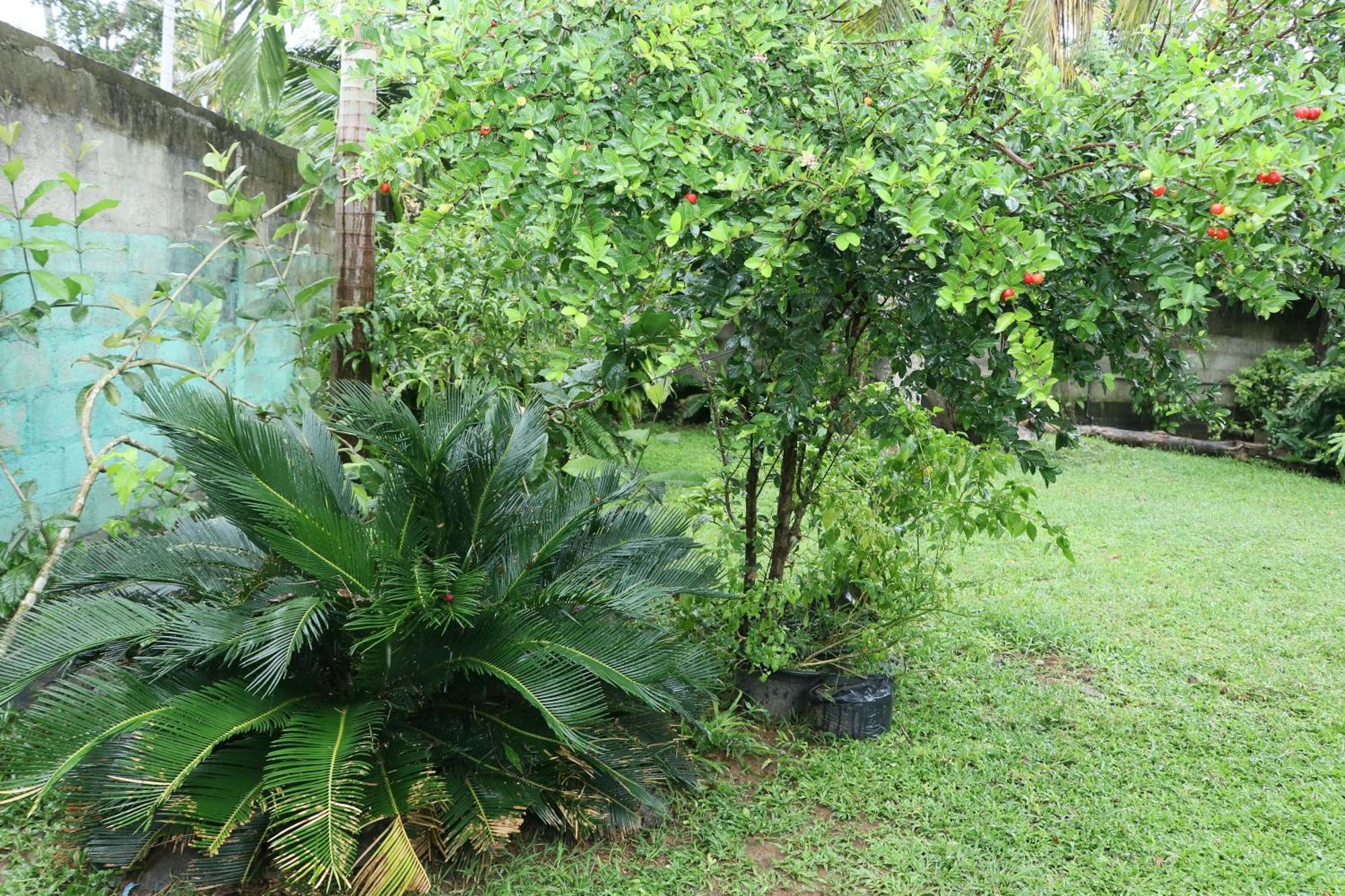 Sheru Guest Matara Exterior foto
